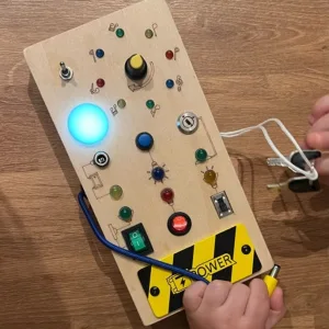 Recebido o Quadro de Atividades Montessori com Luzes LED do cliente L****r.