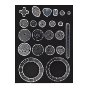 kaleidoscope ruler