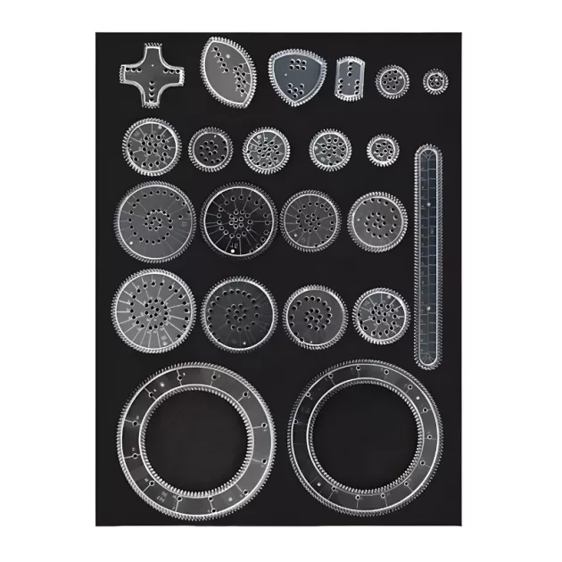 kaleidoscope ruler